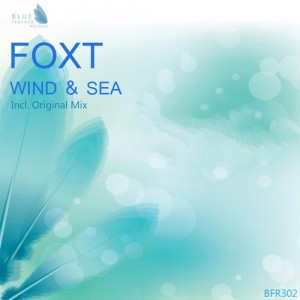 Foxt - Wind & Sea [Blue Feather Records]