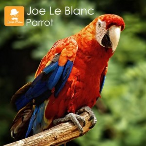 Joe Le Blanc - Parrot [Lounge Colour Records]