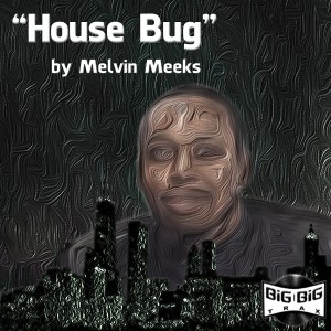 Melvin Meeks - House Bug [Big Big Trax]
