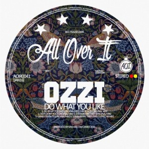 Ozzi - Do What You Like [All Over It Records]
