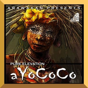 Pure Elevation - A Yo Coco [Arawakan]