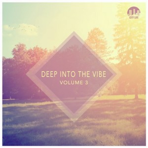 Various Artists - Deep Into the Vibe, Vol. 3 [City Life]