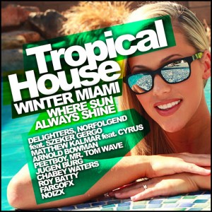 Various Artists - Tropical House Winter Miami; Where Sun Always Shine [Rimoshee Traxx]