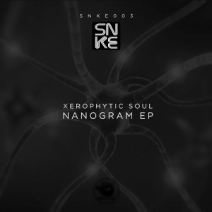 Xerophytic Soul - Nanogram Ep [Sunclock]