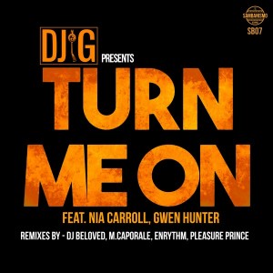 DJ G feat. Nia Carroll & Gwen Hunter - Turn Me On [Sambanismo]