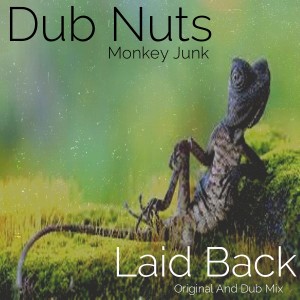 Dub Nuts - LaidBack [Monkey Junk]
