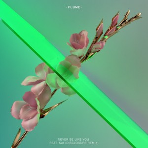 Flume feat. Kai - Never Be Like You (Disclosure Remix) [Transgressive]