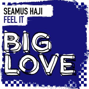 Seamus Haji - Feel It [Big Love]