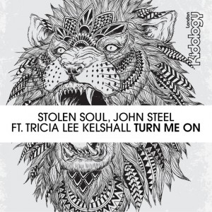 Stolen Soul, John Steel, Tricia Lee Kelshall - Turn Me On [Kidology]