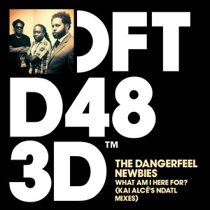 The DangerFeel Newbies - What Am I Here For! (Kai Alcé’s NDATL Remixes) [Defected]