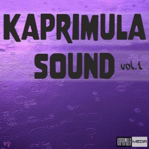 Various Artists - Kaprimula Sound, Vol. 1 [Kaprimula Media]