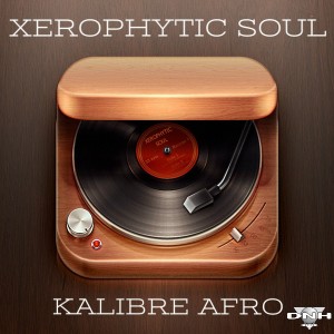 Xerophytic Soul - Kalibre Soul [DNH]