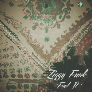Ziggy Funk - Feel It [Earthworks Studio]