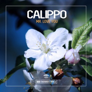 Calippo - Mr. Love You [Enormous Tunes]