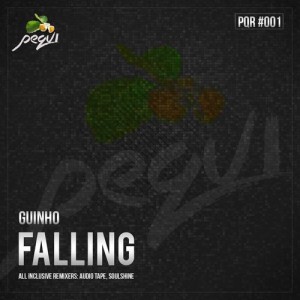 Guinho - Falling - EP [Pequi Records]