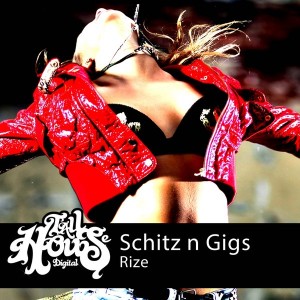 Schitz N Gigs - Rize [Tall House Digital]