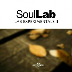 SoulLab - Lab Experimentals II [Musicated Brothers]