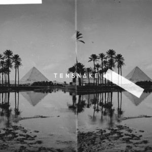Tensnake - Desire EP [True Romance]
