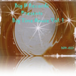 Various Artists - Big Time House [Big D Records]