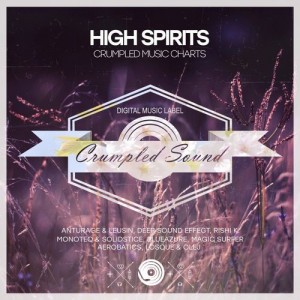 Various Artists - High Spirits [Crumpled Sound]
