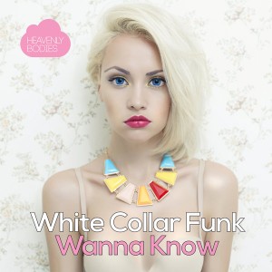 White Collar Funk - Wanna Know [Heavenly Bodies Records]