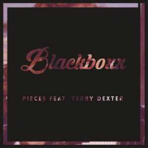 Blackboxx feat. Terry Dexter - Pieces [M.I.RAW Recordings]