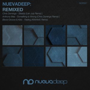 Chris Domingo,Blood Groove & Kikis,Anthony Mea - Nuevadeep- Remixed [Nuevadeep]