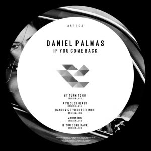 Daniel Palmas - If You Come Back [Underground Source Records]
