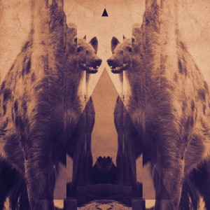 Hyenah - The Idea [Freerange]