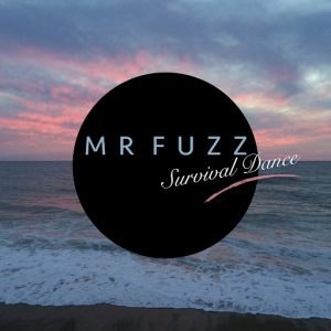 Mr. Fuzz - Survival Dance [Sound Munitions]