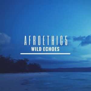 Afroethic5 - Wild Echoes ((Afroethic5 Music))