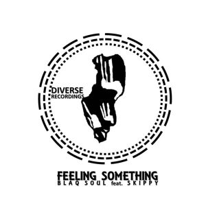 BlaqSoul feat. Skippy - Feeling Something [Diverse Recordings]