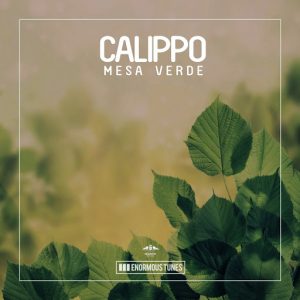 Calippo - Mesa Verde [Enormous Tunes]