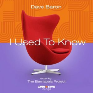 Dave Baron - I Used to Know [AudioBite Lounge]