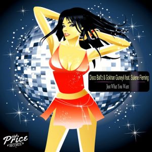 Disco Ball'z & Gokhan Guneyli feat. Sulene Fleming - Just What You Want [High Price Records]