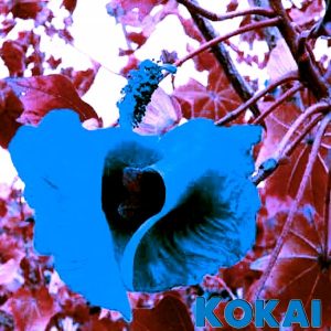 HiddenL & Lukado - Kokai [Audio Kingz Records]