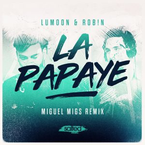 Lumoon & Rob!n - La Papaye [Salted Music]