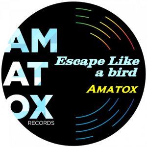 Amatox - Escape Like a Bird [Amatox Label Records]