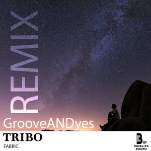 Fabric - Tribo (GrooveANDyes Remix) - Single [Boy Funktastic Records]