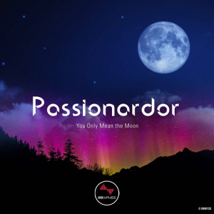 Passionardor - You Only Mean The Moon [99 WAVES]