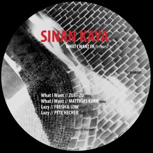 Sinan Kaya - What I Want EP [Deep Site Vinylized]