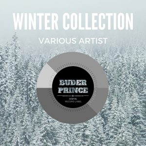 Various Artists - Winter Collection [Buder Prince Digital]