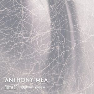 Anthony Mea - Blame EP [NiteGrooves US]