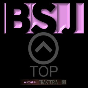 BSJ - Top (The Re-Mix) [Traktoria]