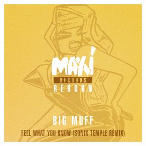 Big Muff - Feel What You Know (Sonik Temple Remix) [Nettwerk]