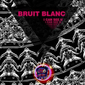 Bruit Blanc - Cold Heart [Mixupload Deep]