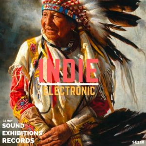 DJ Moy - India Electronic [Sound-Exhibitions-Records]