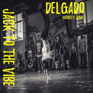 Delgado - Jack To The Vibe [Monkey Junk]