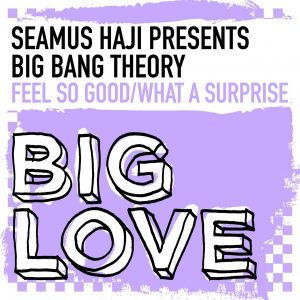 Seamus Haji pres. Big Bang Theory - Feel So Good - What A Surprise [Big Love]