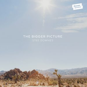 Stee Downes - The Bigger Picture [Sonar Kollektiv Germany]